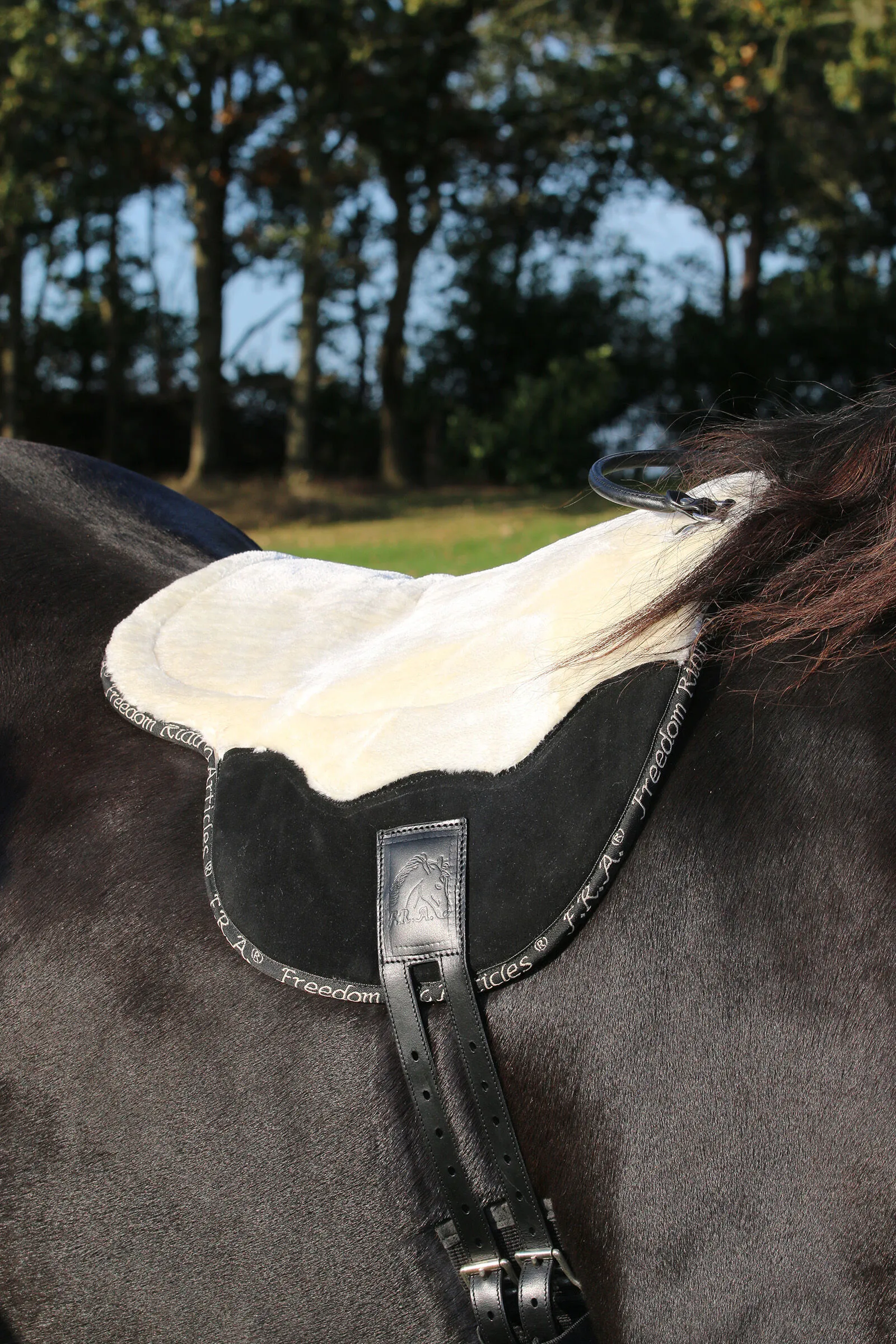F.R.A. Cuscino da equitazione per cob
