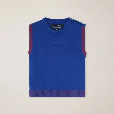 Gilet In Maglia Finezza 12 Con Intarsio Bassotto