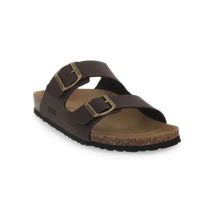 GOLD STAR MARRONE